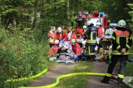 Foto: Freiwilligen Feuerwehren Büchelberg und Kandel