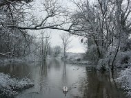 Foto: Südpfalz-Tourismus VG Rülzheim, Gerhard Heil