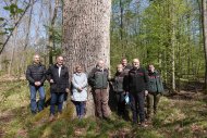 Am Fuß der „Dicken Eiche“: (v.l.) Projektleiter Uwe Meißner, Landrat Dr. Fritz Brechtel, Umweltministerin Katrin Eder sowie Vertretende des Forstes. Foto: KV GER/sey