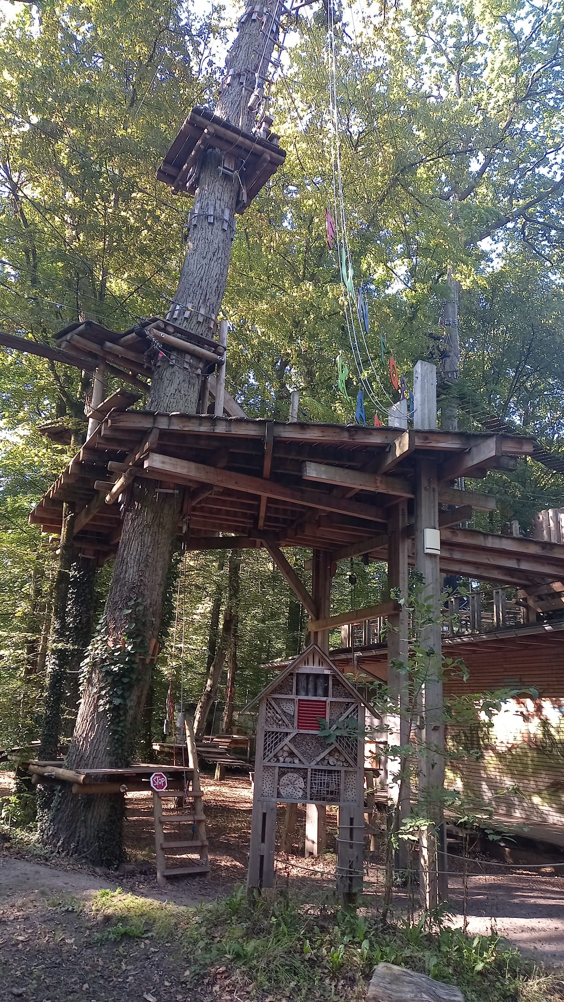 Foto: KV GER/hölderich Foto: KV GER/hölderich