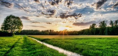 Südpfalztourismus-2022