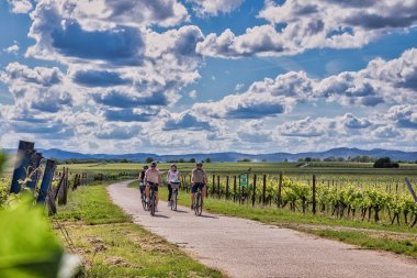 Südpfalztourismus-2022