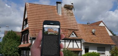 Interaktiver Rätselspaß auf dem Storchenwanderweg in Winden Im Vordergrund die App auf einem Handy, im Hintergrund ein Storchennest auf dem Dach eines Hauses.
