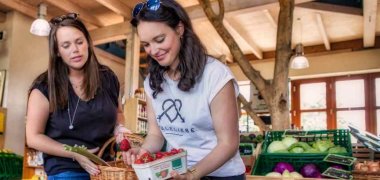 Südpfalztourismus-2022