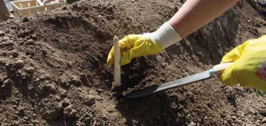 Südpfalz-Tourismus e.V./Paul van Schie Spargel ist ein echtes Geschmackserlebnis