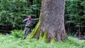 Foto eines Mannes, der an einem Baum des Bienwald sich anlehnt.