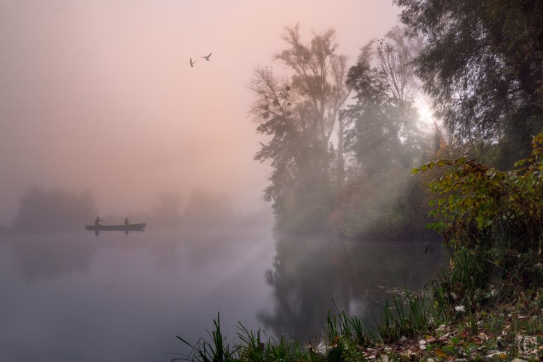 Morgenstund am Fischmal in Leimersheim