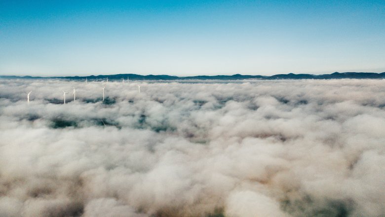 Vormittag mit einer tiefen Wolkendecke in Blickrichtung Minfeld