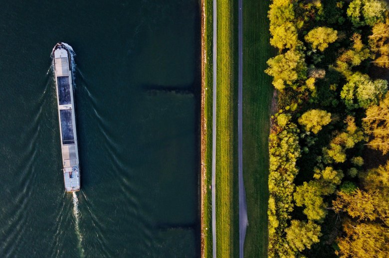 Am Rhein, die Morgensonne tauchte die Bäume in leuchtende Farben