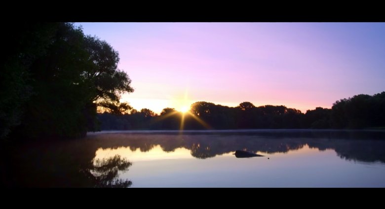 sonnenaufgane in einer rheinaue.