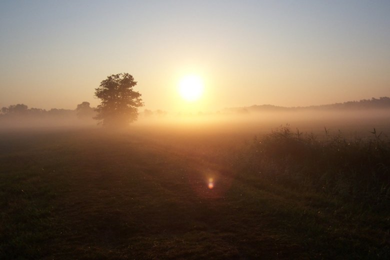 Holzwiesen bei Sonnenaufgang - Peter Mees