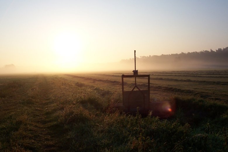 Holzwiesen im Morgendunst - Peter Mees