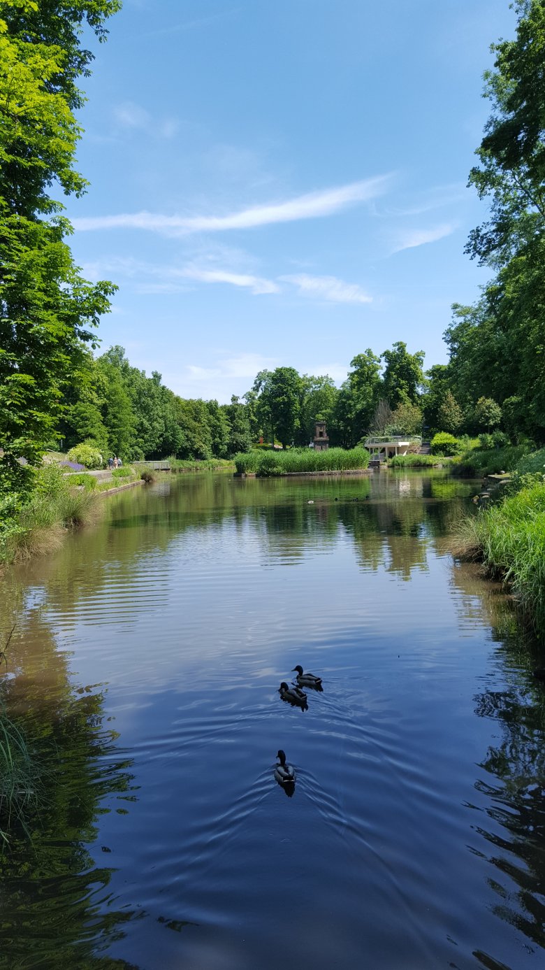 Ein Tag am Schwanenweiher - Ralib Alyase