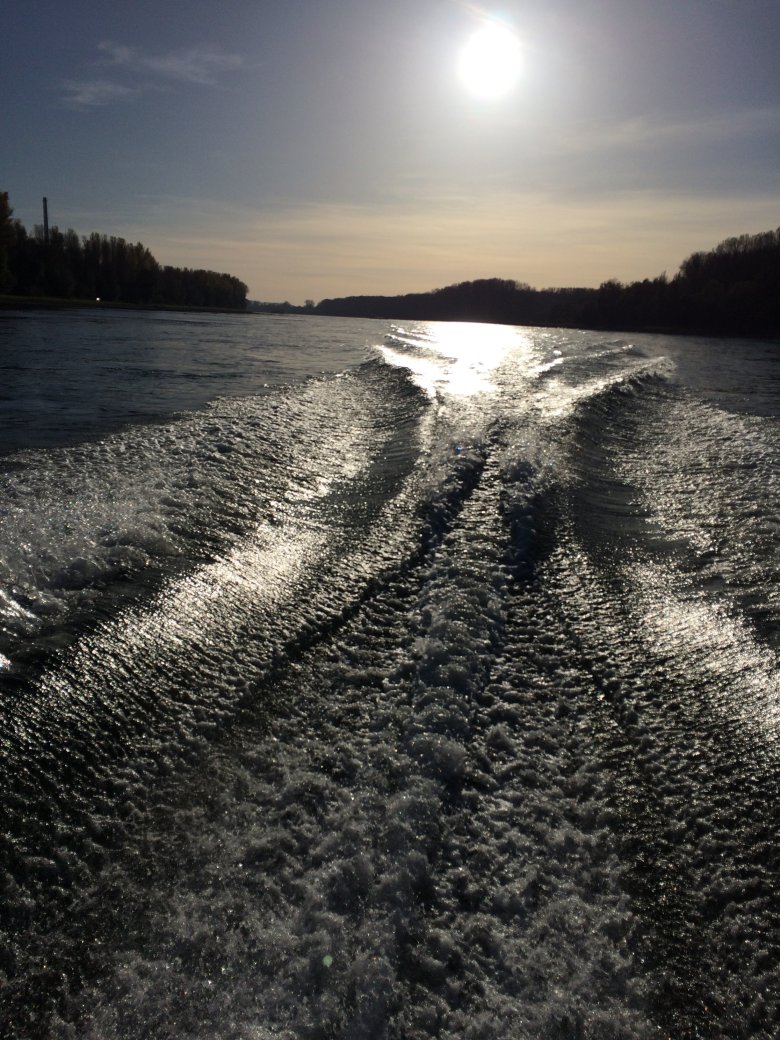 Rhein in Bewegung - Tanja Becker