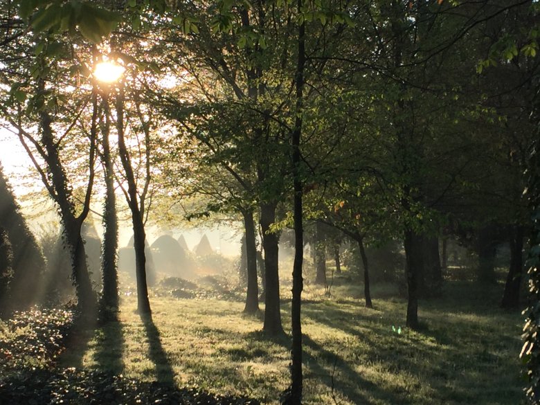 Sonnenaufgang im Bürgerpark Wörth - Crissi u. Olav