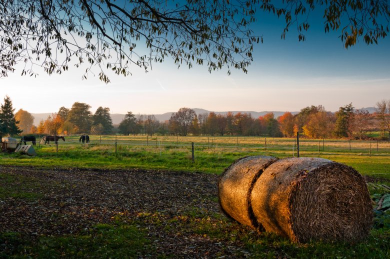 Typische_Landschaft