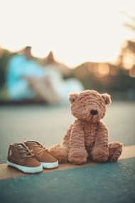 foto eines kuschelbärs