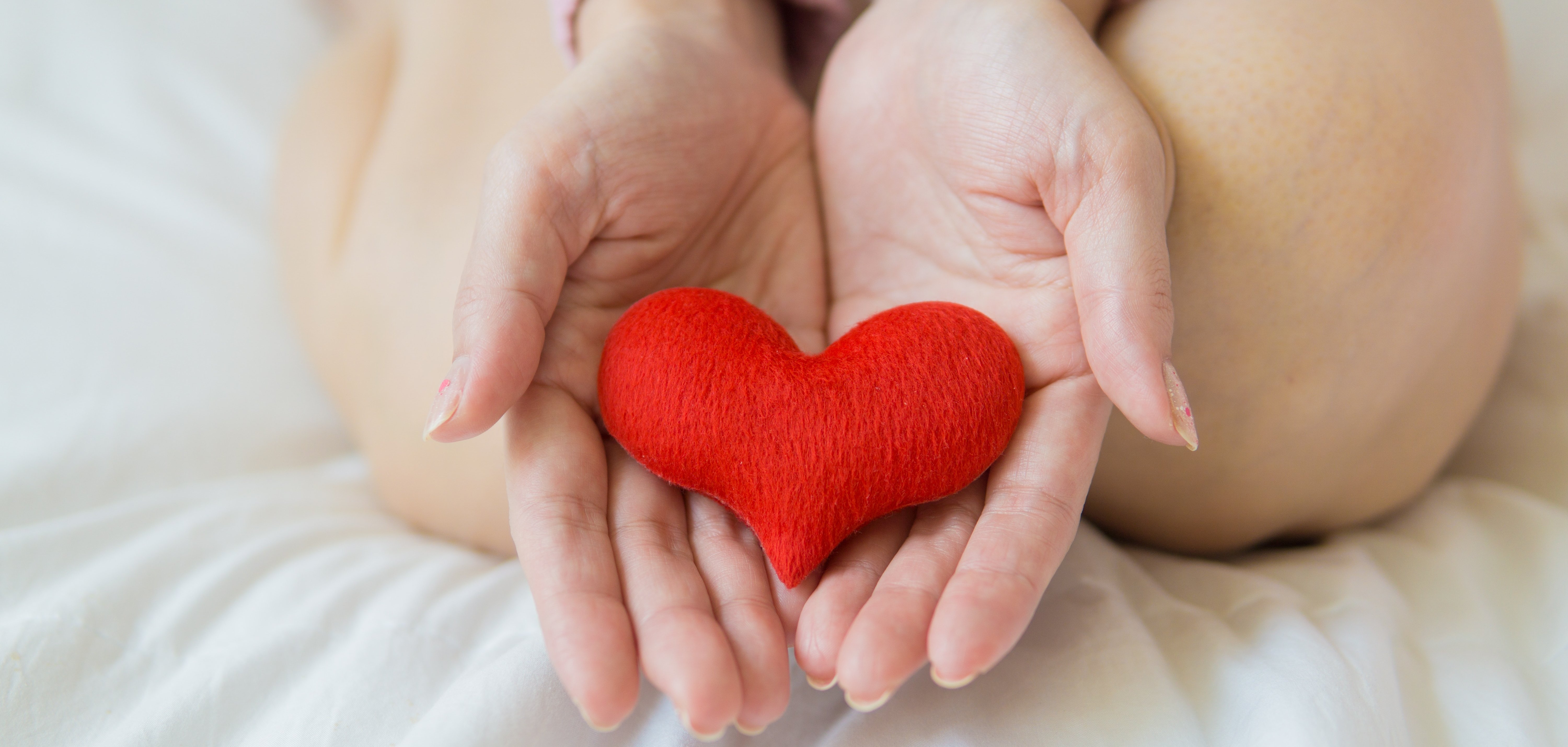 foto hand hält ein herz