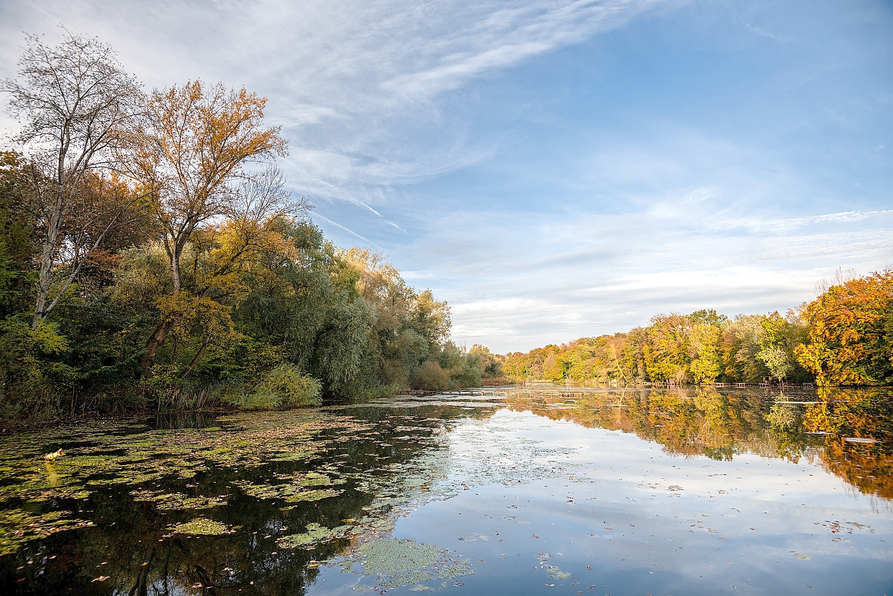 Altrhein bei Jockgrimm.
