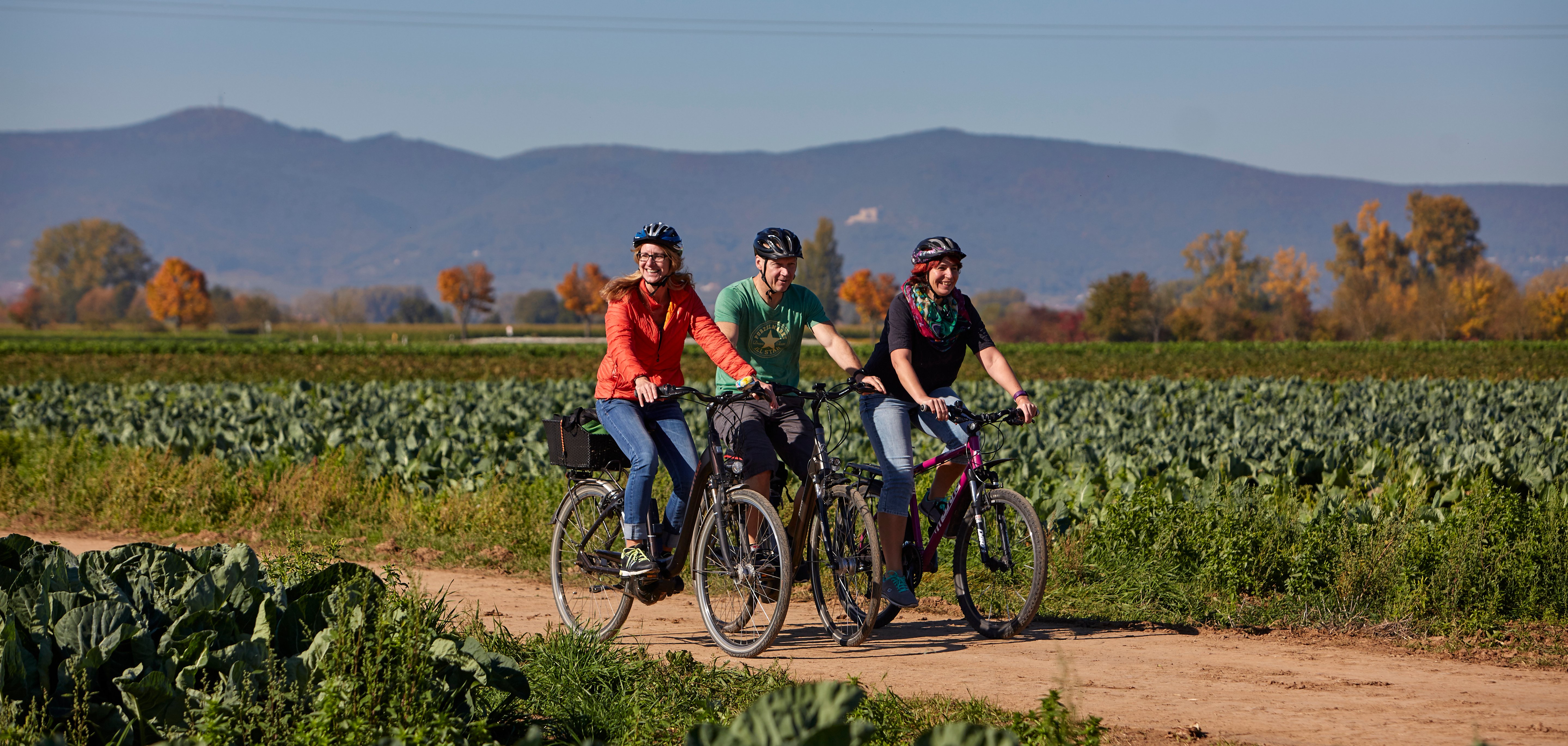 Kraut und Rueben Radweg