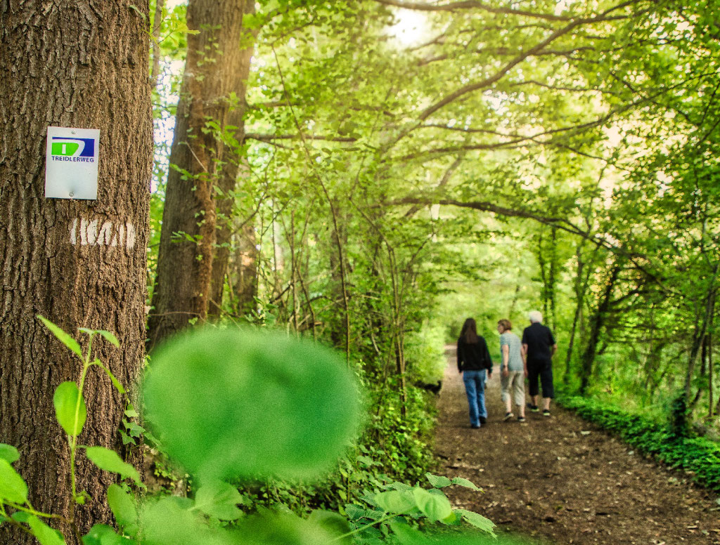 Treidlerweg bei sondernheim