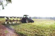 traktor pflügt den boden im bienwald um.