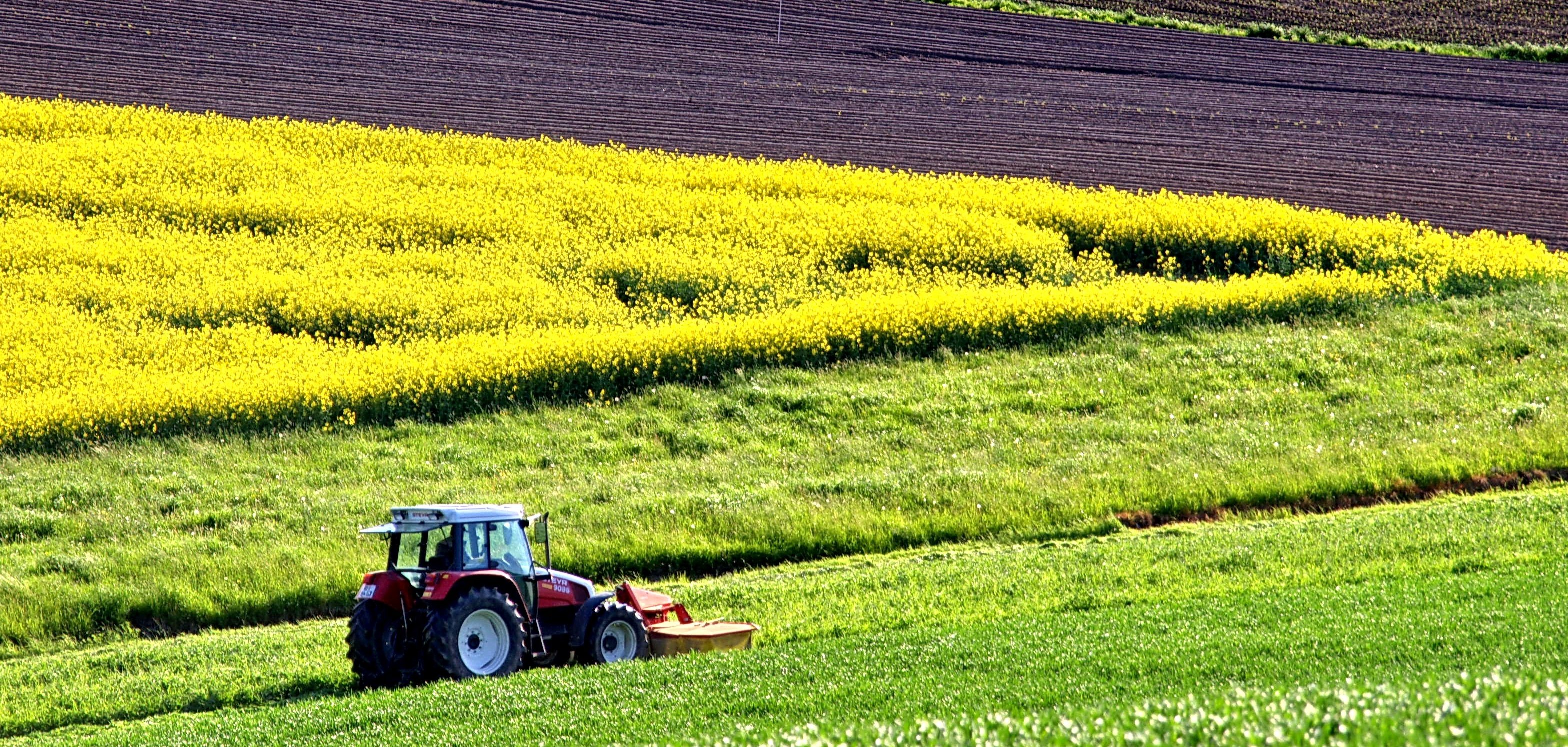 traktor pflügt den boden um